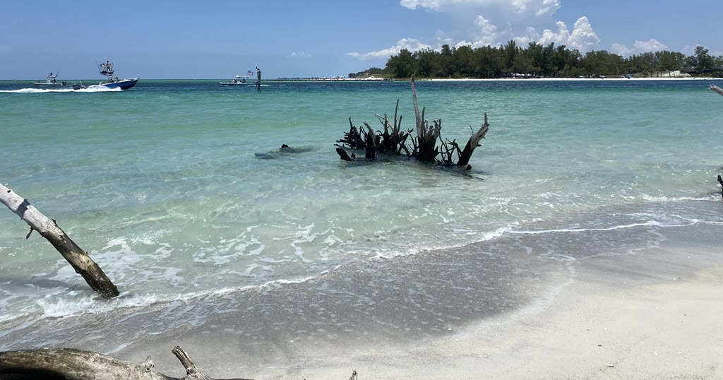 Beer Can Island